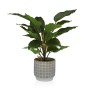 Pianta Decorativa Versa Cemento Plastica 15 x 47 x 15 cm