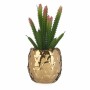 Pianta Decorativa Ceramica Dorato Cactus Verde Plastica 6 Unità