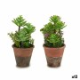 Pianta Decorativa Succulenta Plastica 16 x 23 x 16 cm (12 Unità)