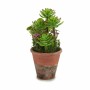 Pianta Decorativa Succulenta Plastica 16 x 23 x 16 cm (12 Unità)