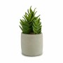 Pianta Decorativa Succulenta Plastica 12 x 24 x 12 cm (6 Unità)