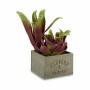 Pianta Decorativa Succulenta Bicolore Plastica 15 x 28 x 15 cm (4 Unità)