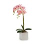 Pianta Decorativa Orchidea 18 x 47 x 14 cm Plastica (6 Unità)