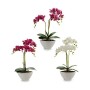 Pianta Decorativa Orchidea 16 x 49 x 28 cm Plastica (4 Unità)