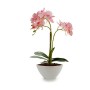 Pianta Decorativa Orchidea 16 x 49 x 28 cm Plastica (4 Unità)