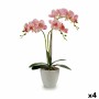 Pianta Decorativa Orchidea Plastica 20 x 49 x 26 cm (4 Unità)