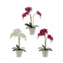 Pianta Decorativa Orchidea Plastica 20 x 49 x 26 cm (4 Unità)