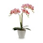 Pianta Decorativa Orchidea Plastica 20 x 49 x 26 cm (4 Unità)