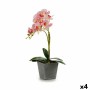 Pianta Decorativa Orchidea Plastica 20 x 47 x 33 cm (4 Unità)