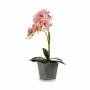 Pianta Decorativa Orchidea Plastica 20 x 47 x 33 cm (4 Unità)