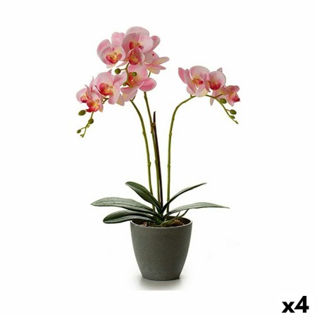 Pianta Decorativa Orchidea 19 x 48 x 24 cm Plastica (4 Unità)