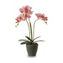 Pianta Decorativa Orchidea 19 x 48 x 24 cm Plastica (4 Unità)