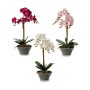 Pianta Decorativa Orchidea 16 x 48 x 28 cm Plastica (4 Unità)