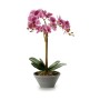 Pianta Decorativa Orchidea 16 x 48 x 28 cm Plastica (4 Unità)