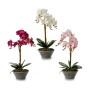 Pianta Decorativa Orchidea 20 x 60 x 28 cm (2 Unità)