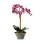 Pianta Decorativa Orchidea 20 x 60 x 28 cm (2 Unità)