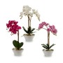 Pianta Decorativa Orchidea Plastica 20 x 60 x 28 cm (2 Unità)