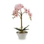 Pianta Decorativa Orchidea Plastica 20 x 60 x 28 cm (2 Unità)