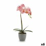 Pianta Decorativa Orchidea Plastica 13 x 39 x 22 cm (6 Unità)