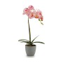 Pianta Decorativa Orchidea Plastica 13 x 39 x 22 cm (6 Unità)