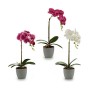 Pianta Decorativa Orchidea Plastica 13 x 39 x 22 cm (6 Unità)