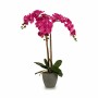 Pianta Decorativa Orchidea Plastica 60 x 78 x 44 cm (2 Unità)