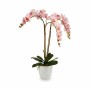 Pianta Decorativa Orchidea Plastica 40 x 77 x 35 cm (2 Unità)