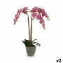 Pianta Decorativa Orchidea Plastica 33 x 77 x 33 cm (2 Unità)