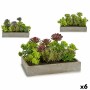 Pianta Decorativa Succulenta Plastica Cemento 16,5 x 20 x 28,5 cm (6 Unità)