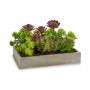 Pianta Decorativa Succulenta Plastica Cemento 16,5 x 20 x 28,5 cm (6 Unità)