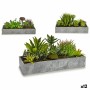 Pianta Decorativa Succulenta Plastica Cemento 10 x 14,5 x 30,5 cm (12 Unità)