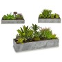 Pianta Decorativa Succulenta Plastica Cemento 10 x 14,5 x 30,5 cm (12 Unità)