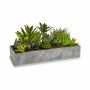 Pianta Decorativa Succulenta Plastica Cemento 10 x 14,5 x 30,5 cm (12 Unità)