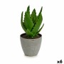 Pianta Decorativa Aloe Vera 14 x 21 x 14 cm Grigio Verde Plastica (6 Unità)