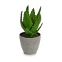 Pianta Decorativa Aloe Vera 14 x 21 x 14 cm Grigio Verde Plastica (6 Unità)