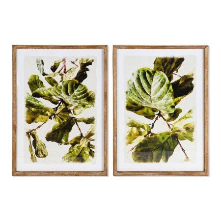 Quadro DKD Home Decor Plants Foglia della pianta (50 x 2,5 x 70 cm) (2 Unità)