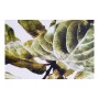 Quadro DKD Home Decor Plants Foglia della pianta (50 x 2,5 x 70 cm) (2 Unità)