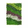 Kit per Giardino Verticale Fiori Campo Multicolore Plastica 100 x 5 x 150 cm (8 Unità)