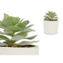 Pianta Decorativa Succulenta Plastica 14 x 13,5 x 14 cm (12 Unità)