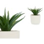 Pianta Decorativa Succulenta Plastica 14 x 18 x 14 cm (12 Unità)