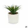 Pianta Decorativa Succulenta Plastica 14 x 18 x 14 cm (12 Unità)