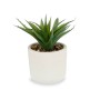 Pianta Decorativa Succulenta Plastica 14 x 18 x 14 cm (12 Unità)