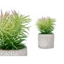 Pianta Decorativa Succulenta Legno Plastica 12 x 22 x 12 cm (8 Unità)