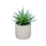 Pianta Decorativa Succulenta Legno Plastica 17 x 21 x 17 cm (8 Unità)