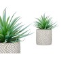 Pianta Decorativa Succulenta Legno Plastica 17 x 21 x 17 cm (8 Unità)