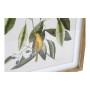 Quadro DKD Home Decor Bird Tropicale Uccelli (55 x 2,5 x 70 cm) (4 Unità)