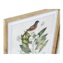 Quadro DKD Home Decor Bird Tropicale Uccelli (55 x 2,5 x 70 cm) (4 Unità)