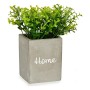 Pianta Decorativa Home Grigio Cemento Verde Plastica 13 x 20 x 13 cm (6 Unità)