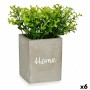 Pianta Decorativa Home Grigio Cemento Verde Plastica 13 x 20 x 13 cm (6 Unità)