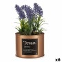 Pianta Decorativa Lavanda Lattina Viola Metallo Rame Verde Plastica 10 x 18 x 10 cm (6 Unità)